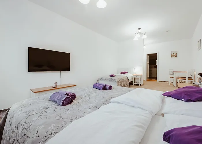 Gasthuis U Andela 4*