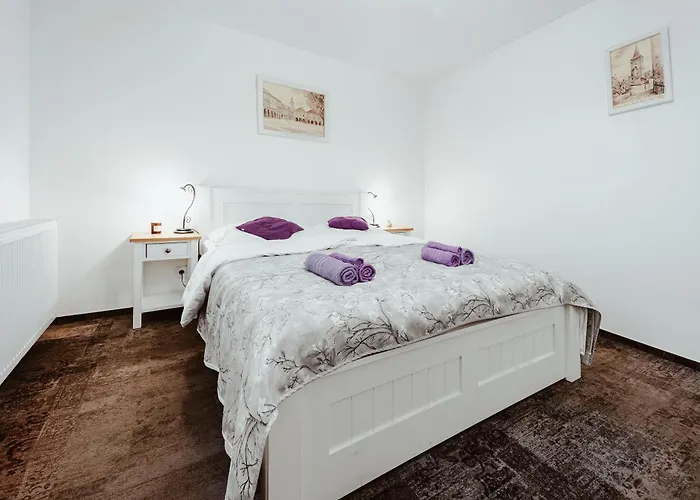 U Andela Gasthuis 4*